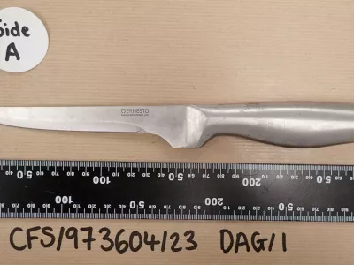 The knife used by Cameron Davis who stabbed Lorna England, 74, to death. Release date � July 9, 2024. A man has been found guilty of knifing a pensioner to death in broad daylight - just hours after pledging to murder a stranger if he wasn't sectioned. Cameron Davis, 31, faces life in prison for stabbing Lorna England, 74, at least twice in a park as she walked home from a routine shopping trip to Lidl for some flour. The pair, who had never met, tragically crossed paths in Ludwell Valley Park in Exeter, Devon, on 18 February last year, a trial heard. Just hours earlier, Davis, of Exmouth, Devon, had been assessed by mental health workers and told them he would 'kill a random' if they released him. After being told he wouldn't be sectioned, he left the Royal Devon and Exeter Hospital around five hours before Lorna was killed - buying two bottles of vodka and a kitchen knife on route.,Image: 888634975, License: Rights-managed, Restrictions: Editorial use, commercial use may require additional licenses. We don't use AI to make images which could be mistaken for news photos. AI use will be clearly indicated. Supplied on condition you ensure personal data is processed in compliance with DPA2018, Model Release: no