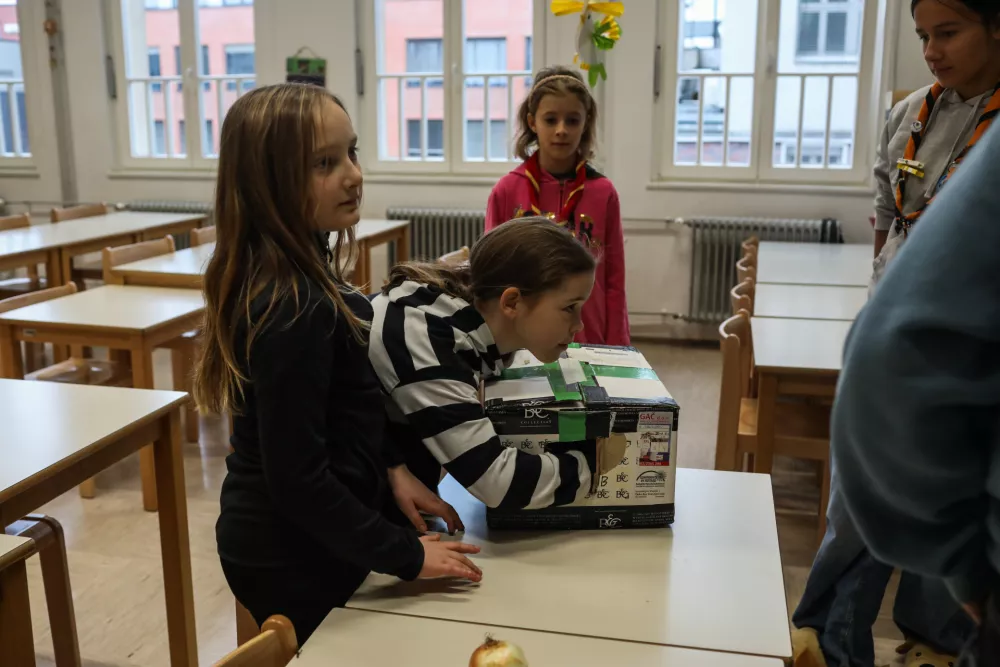 - 22.11.2025. - Srečanje medvedkov in čebelic. Delavnice za otroke Mestne Zveze Tabornikov na OŠ Vič v Ljubljani.//FOTO: Bojan Velikonja