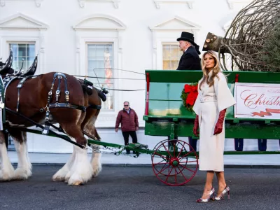 First lady Melania Trump receives the official 2025 White House Christmas Tree, a white fir from Korson's Tree Farms in Michigan, on the North Portico of the White House, Monday, Nov. 24, 2025, in Washington. (AP Photo/Julia Demaree Nikhinson)
