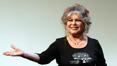 Former French film star and animal right activist Brigitte Bardot acknowledges applause prior to a press conference at the Marigny theater, in Paris, on the 20th anniversary of her foundation for animal rights, The Brigitte Bardot Foundation, Thursday Sept. 28, 2006. (AP Photo/Remy de la Mauviniere) / Foto: Remy De La Mauviniere