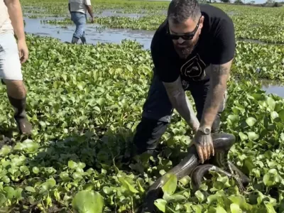 Kristijan Iličić se je med potovanjem po Venezueli srečal z anakondo. F instagram