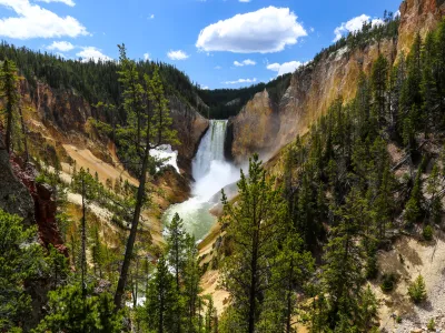 Narodni park Yellowstone je na seznamu tistih, ki bodo poslej dražji. / Foto: Istock