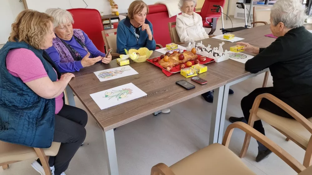 dom upokojencev Vrhnika, dnevni center