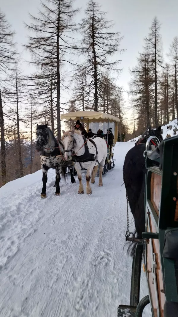 Adventna pot na Kačjaku