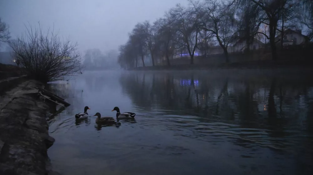 - 6.1.2023 – Ljubljanica - megla - race//FOTO: Nik Erik Neubauer