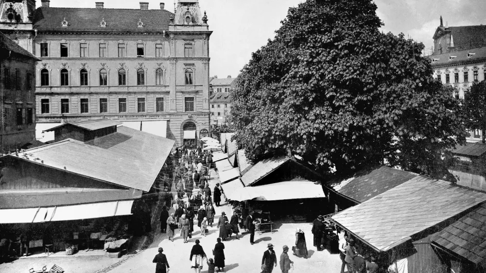 tržnica Ljubljana
