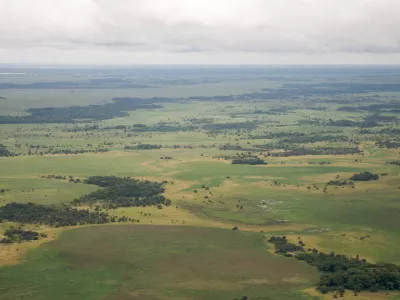 Llanos de Moxos / Foto: Samuel M Beebe/wikipedia