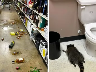 Njegova najljubša pijača je  očitno viski. Foto: policija