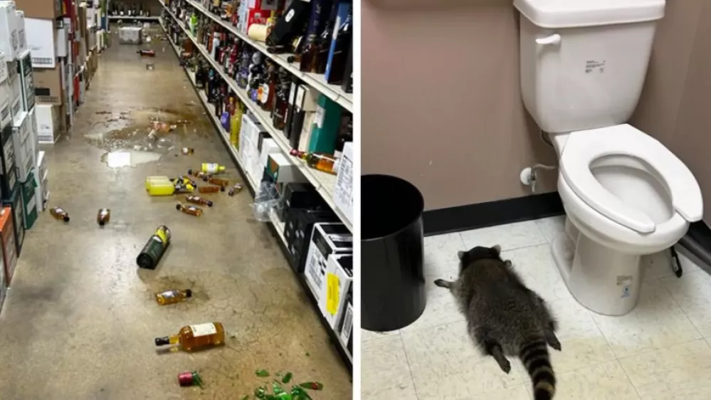 Njegova najljubša pijača je  očitno viski. Foto: policija