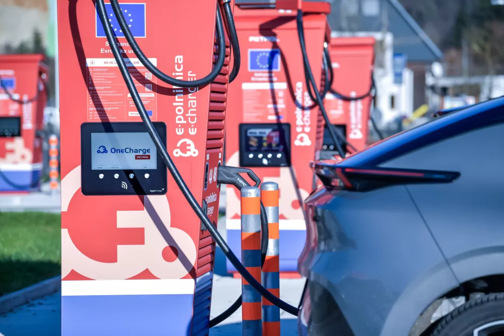 Takšnih polnilnih parkov je vse več. / Foto: Boštjan Vihtelič/petrol