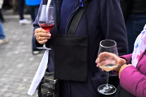 alkohol alkoholizem simbolična fotografijavino vinarstvopitje08.11.2025 Martinovanje v Ljubljani - Ljubljanska vinska pot Foto: Nik Erik Neubauer
