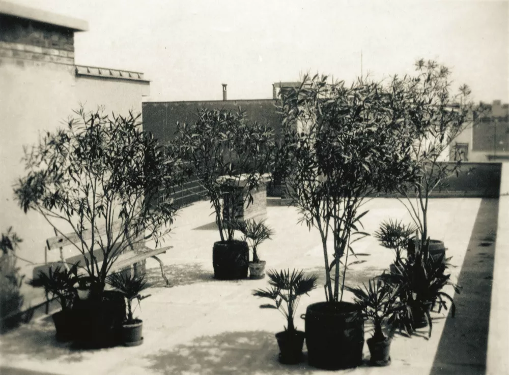 Ljubljanske hi&scaron;e, kjer so se vrstili slavni prebivalci