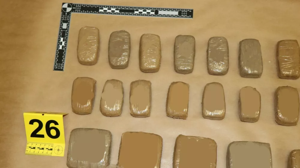 Zaseg, mamila. Foto: PU Nova Gorica