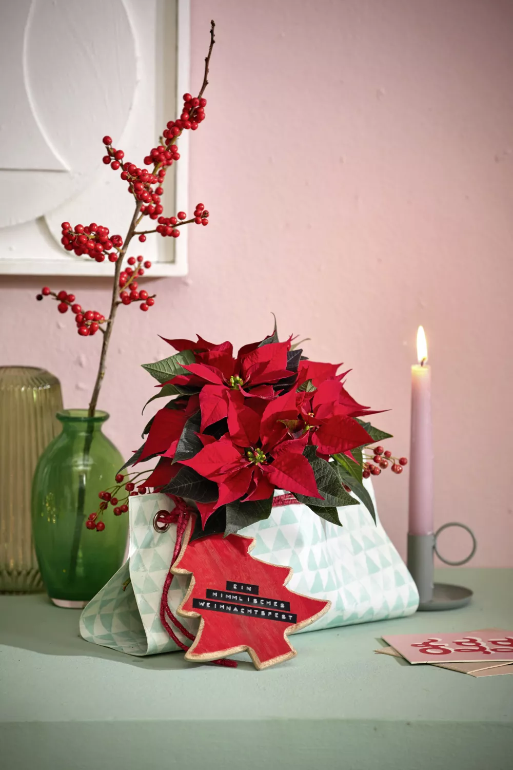 Božična zvezda Foto: 