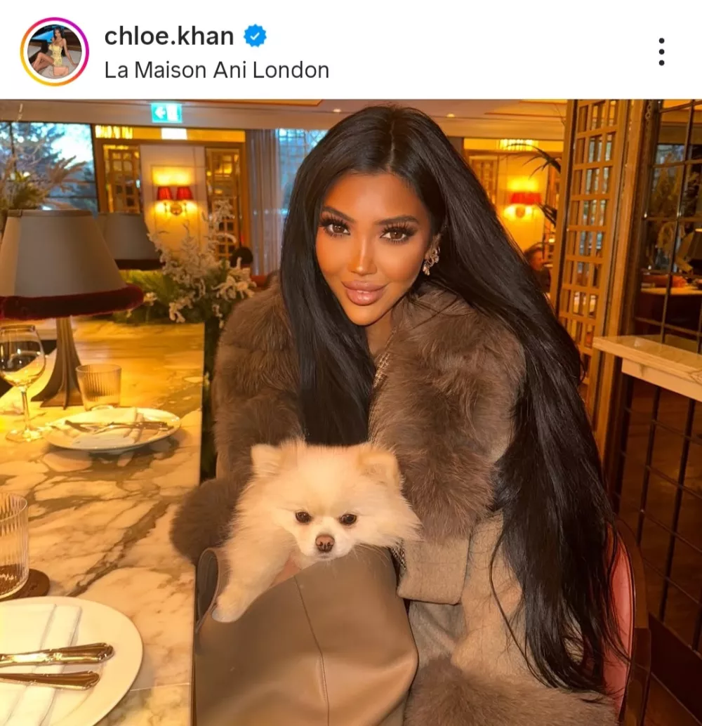 Celo hi&scaron;ni ljubljenčki &ndash; tako imenovani &raquo;pasji influencerji&laquo; &ndash; so postali del te kulture, posneti med &raquo;večerjo&laquo; na finih zofah v luksuznih nepremičninah Foto: posnetek zaslona