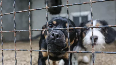 Lastniki zavetišč napovedujejo zlom sistema