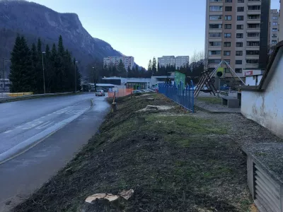 Obnova vročevoda je odnesla drevesa