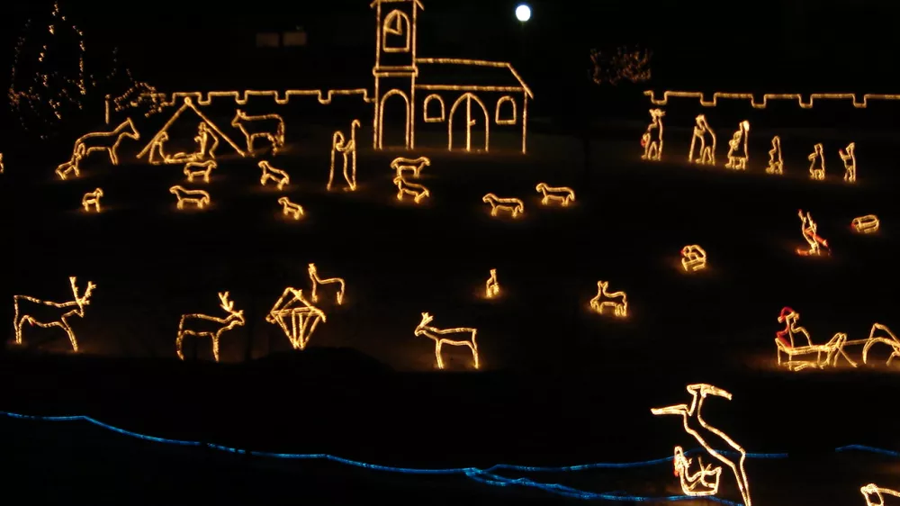 JASLICE TRZISCE SEVNICA / Foto: Arhiv