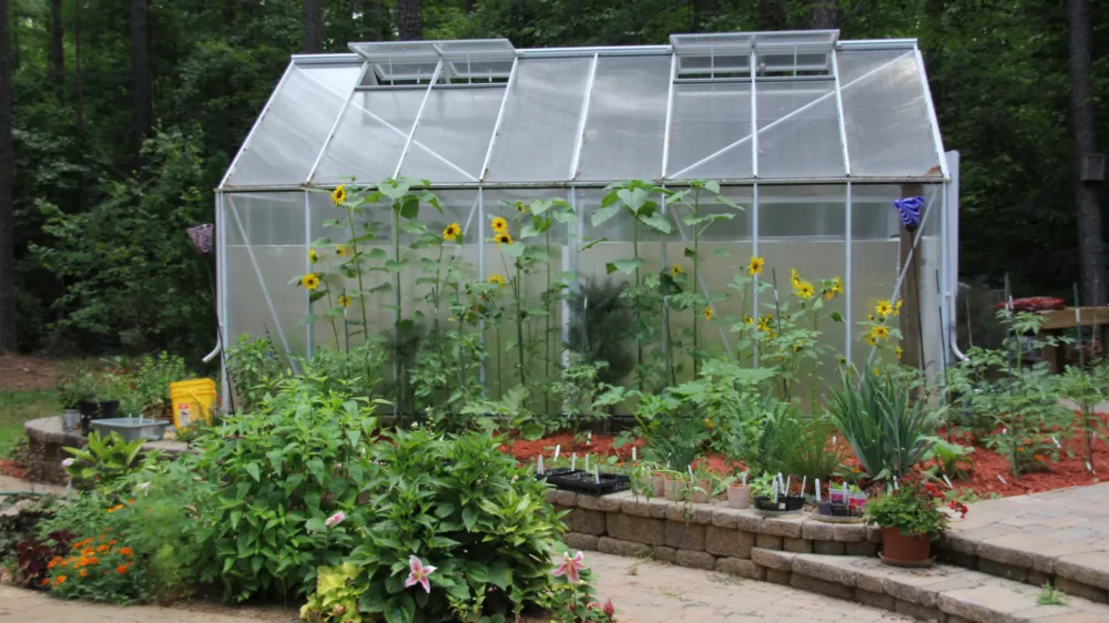 Rastlinjak. Slika je simbolična. / Foto: Istock