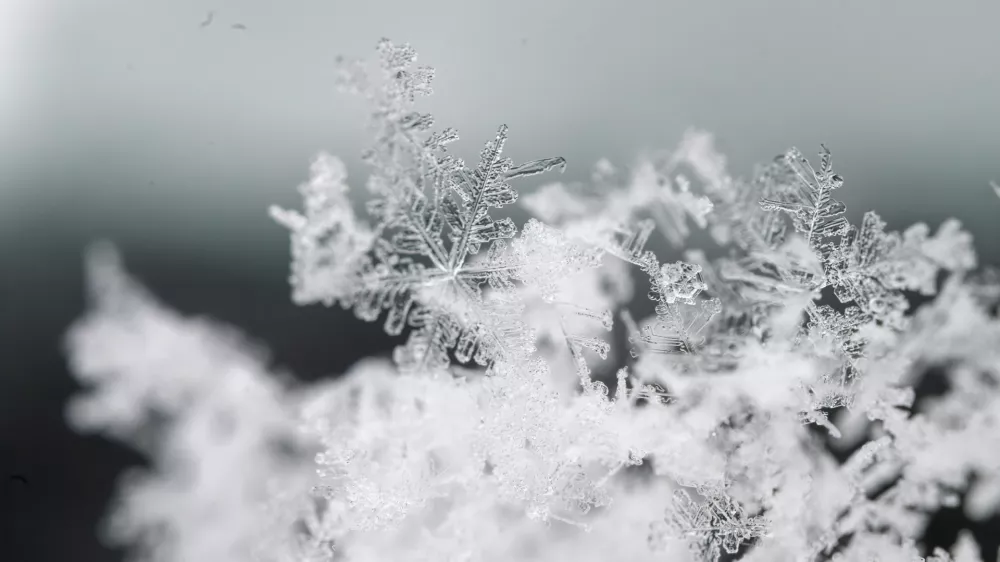 Snežinka pod drobnogledom. Slika je simbolična. / Foto: Istock