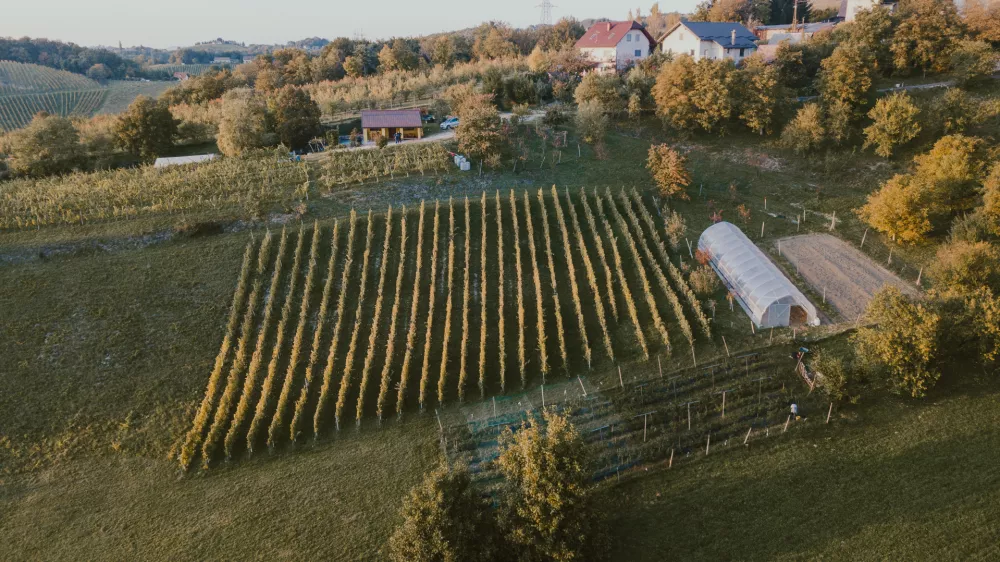 kmetija Legnar / Foto: Osebni Arhiv