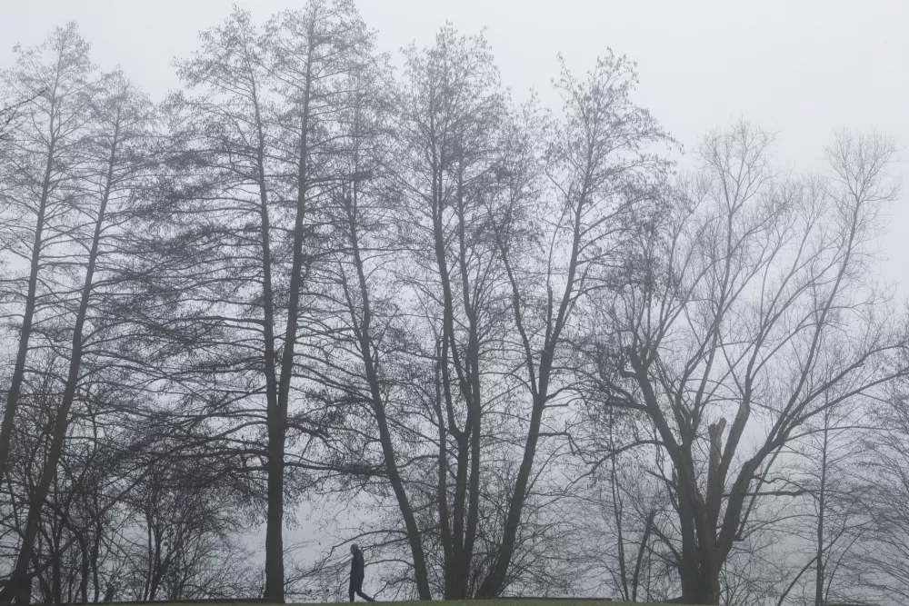 - 12.12.2025 - reportaža megla - Kose&scaron;ki bajer//FOTO: Jaka Gasar