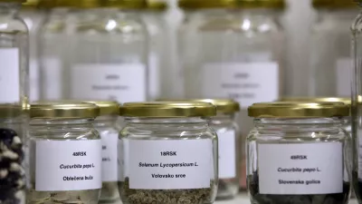 - Društvo varuhi semen Maribor - projekt semenska knjižnica - slovenska avtohtona semena- Digitalni herbarij semenske knjižnice - projekt Urbanih brazd, programskega sklopa EPK, - rastlinska banka semen avtohtonih, domačih in tradicionalnih vrst ter sort kulturnih rastlin, ki si jih je mogoče izposoditi za gojenje. ///FOTO: Luka Cjuha OPOMBA: ZA OBJAVO V PRILOGI – DNEVNIKOV OBJEKTIV - REPORTAŽA 2012