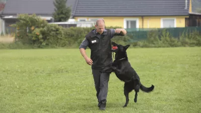 ﻿- policijski službeni pes - - 09.10.2018 - Policijska postaja vodnikov službenih psov Ljubljana – Gmajnice - Oddelek za šolanje službenih psov  //FOTO: Bojan Velikonja