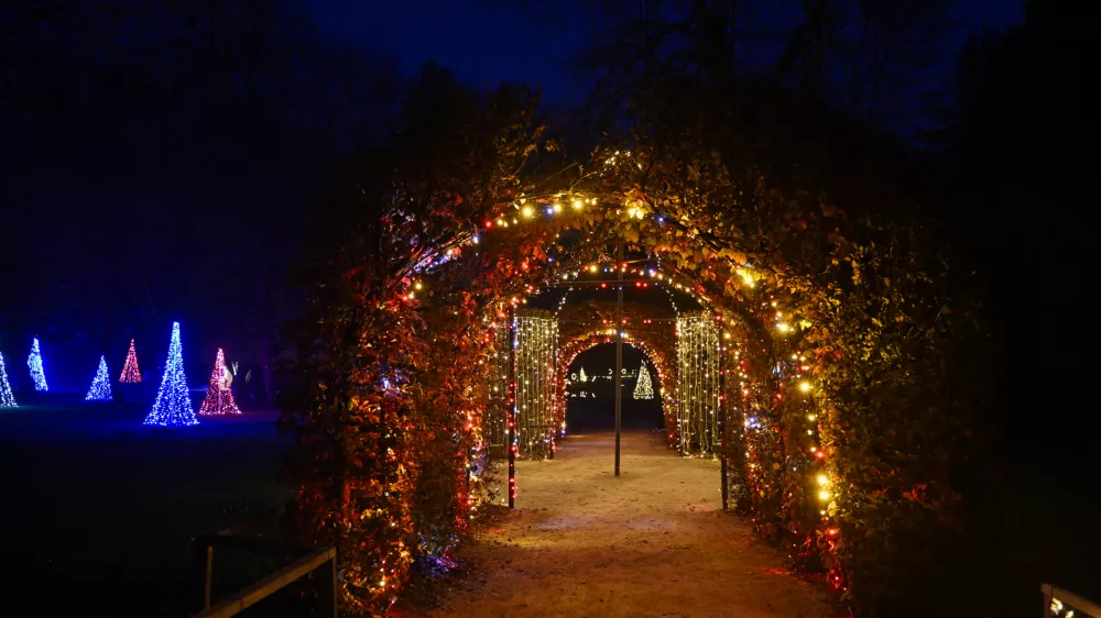 novoletne lučke božični praznikiadvent13.11.2025 Prižig novoletnih luči - arboretum Volčji potokFoto: Nik Erik Neubauer