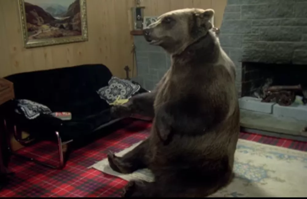 Foto: posnetek zaslona youtube