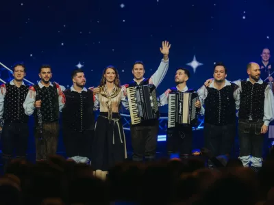 Avseniki razprodali Stožice 