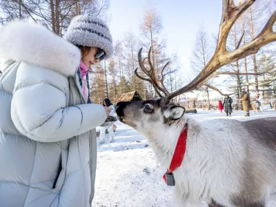 IMAGE DISTRIBUTED FOR JILIN TOURISM - Reindeer Park at the Changbai Mountain Sceneic Tourist Town in Jilin, China on Sunday, Dec. 21, 2025. (Dan Sandoval/AP Content Services for Jilin Tourism)