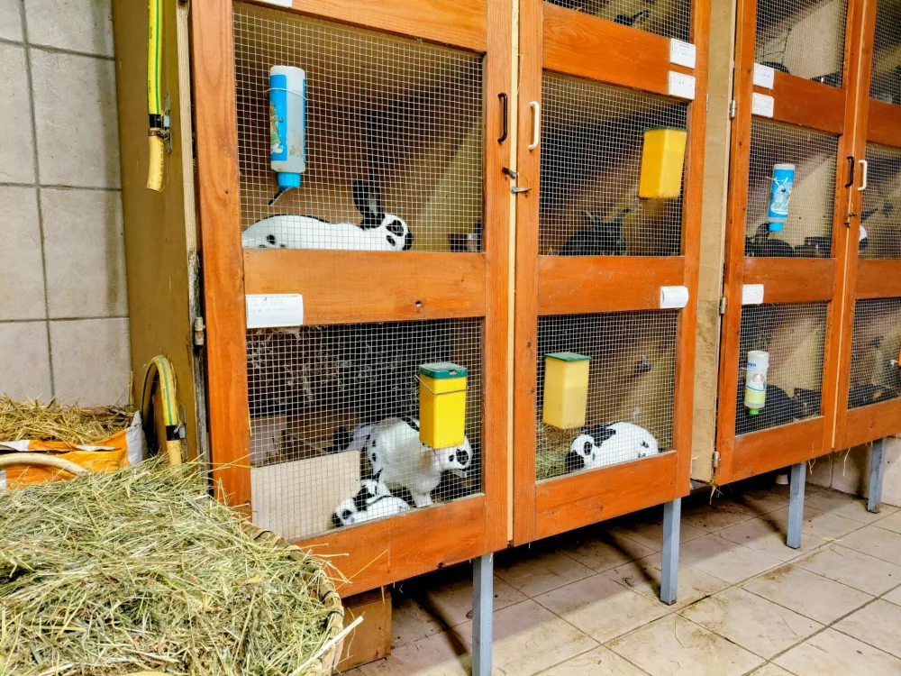 Najlep&scaron;a v Evropi prihajata iz Medvod!