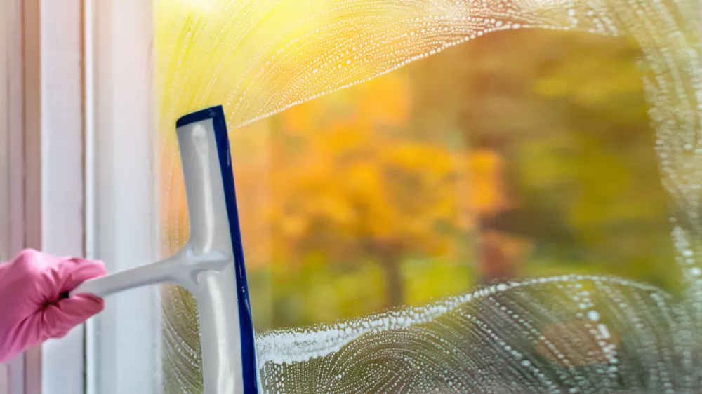 Zaj je najbolj&scaron;i čas za nekatera domača opravila.