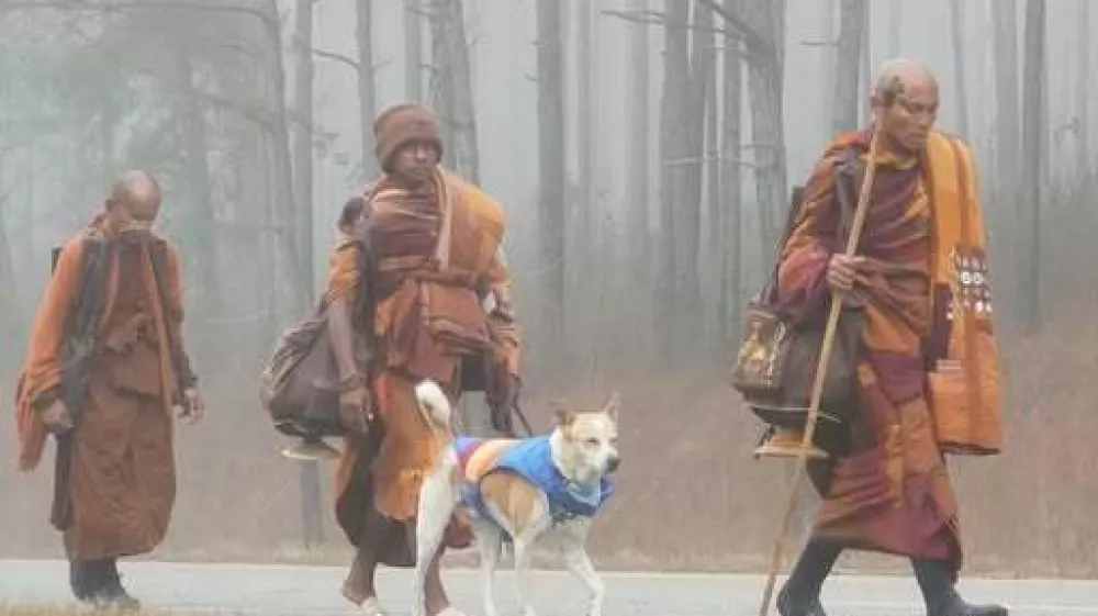 Aloka skupaj z menihi na pohodu po Združenih državah Amerike. Foto: FB/Aloka the Peace Dog