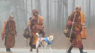 Aloka skupaj z menihi na pohodu po Združenih državah Amerike. Foto: FB/Aloka the Peace Dog