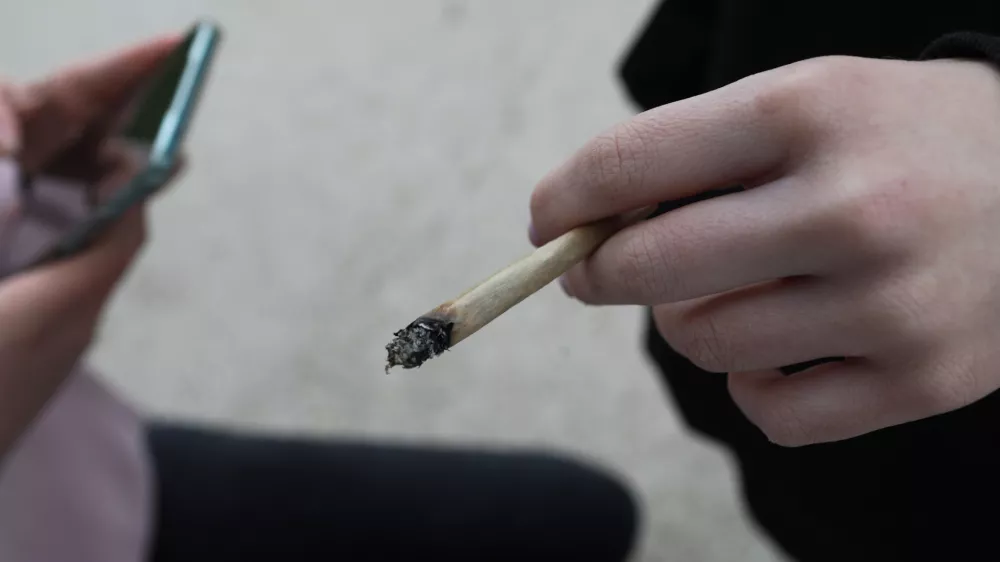 joint. - 18.04.2024. - Tradicionalni Marihuana mar&scaron; 2024, ki ga organizira &Scaron;tudentska organizacija Univerze v Ljubljani. FOTO: Bojan Velikonja