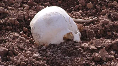 lobanja zemlja glava