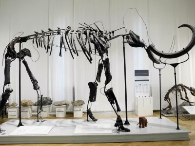 - Neveljski mamut &ndash; okostje mamuta - - 21.03.2023 &ndash; Prirodoslovni muzej Slovenije &ndash; državni muzej z naravoslovno, znanstveno in pedago&scaron;ko vsebino, Pre&scaron;ernova cesta 20 v Ljubljani//FOTO: Tomaž Skale