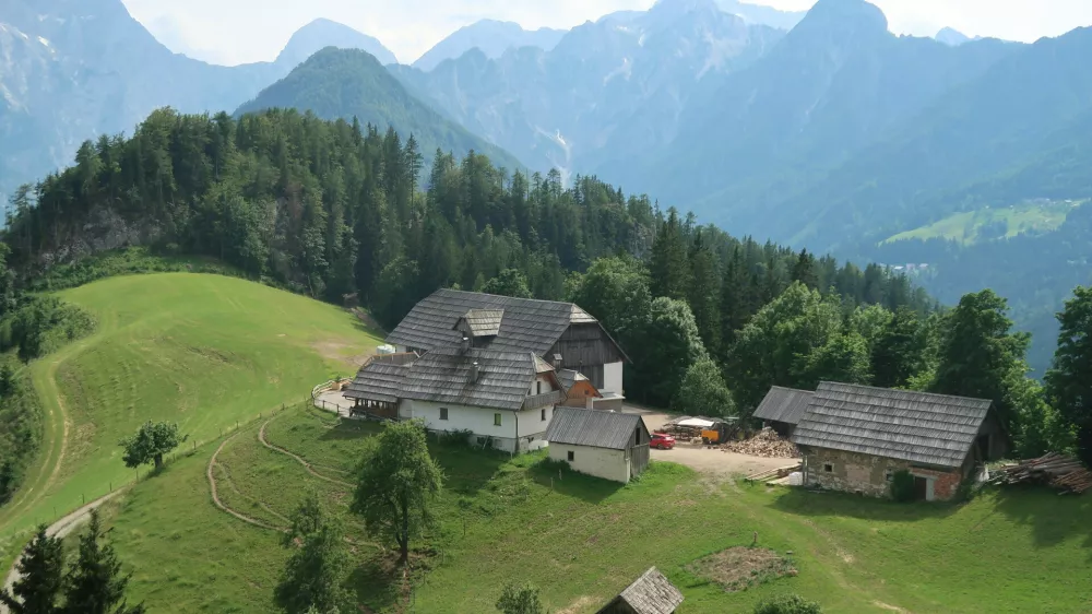 Kmetijsko ministrstvo je podcenilo razvojne potrebe gorskih kmetov