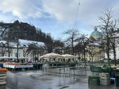 Cene na tržnici: Ko gredo temperature dol, gredo cene gor