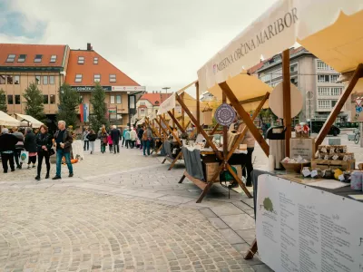 Festival Stare trte in stojnice
