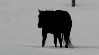 Sporna slika / Foto: Zajem Zaslona/tiktok