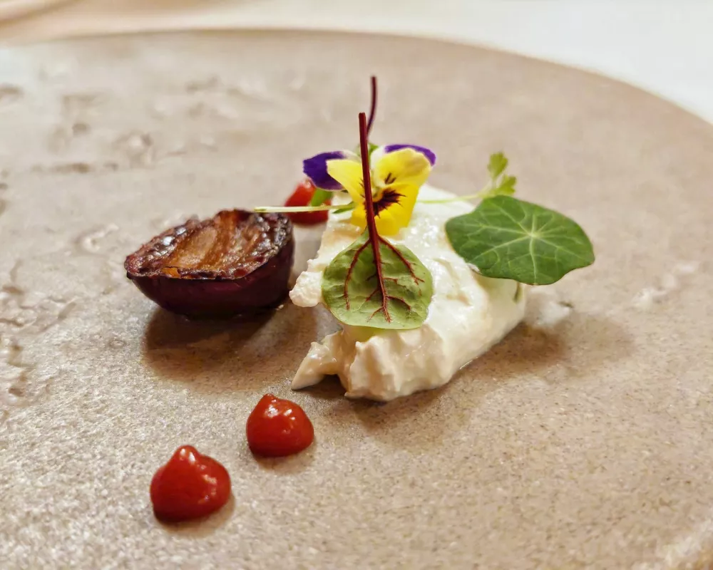 Sirnek, Hotel Plesnik