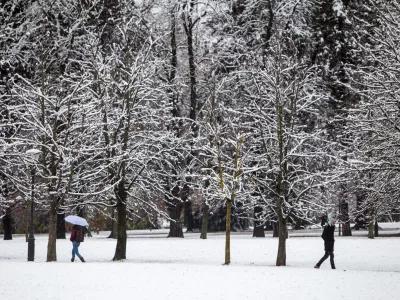 Zakaj bolezen, ki jo prena&scaron;ajo klopi, zaznavajo tudi pozimi?