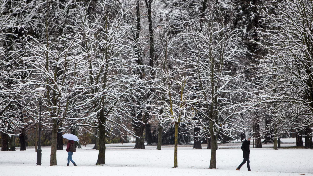 Zakaj bolezen, ki jo prena&scaron;ajo klopi, zaznavajo tudi pozimi?