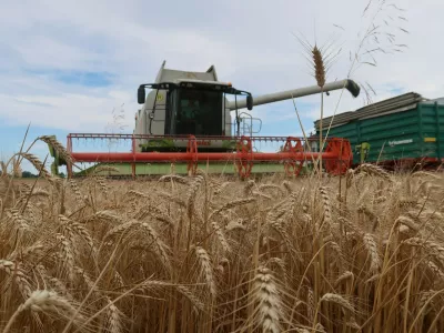 kmetijsko zemlji&scaron;če, polje, p&scaron;enica, žetev, kombajn, Panvita. Foto: Tatjana Pihlar 