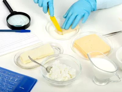 Expert hands cutting a cheese slice in phytocontrol laboratory