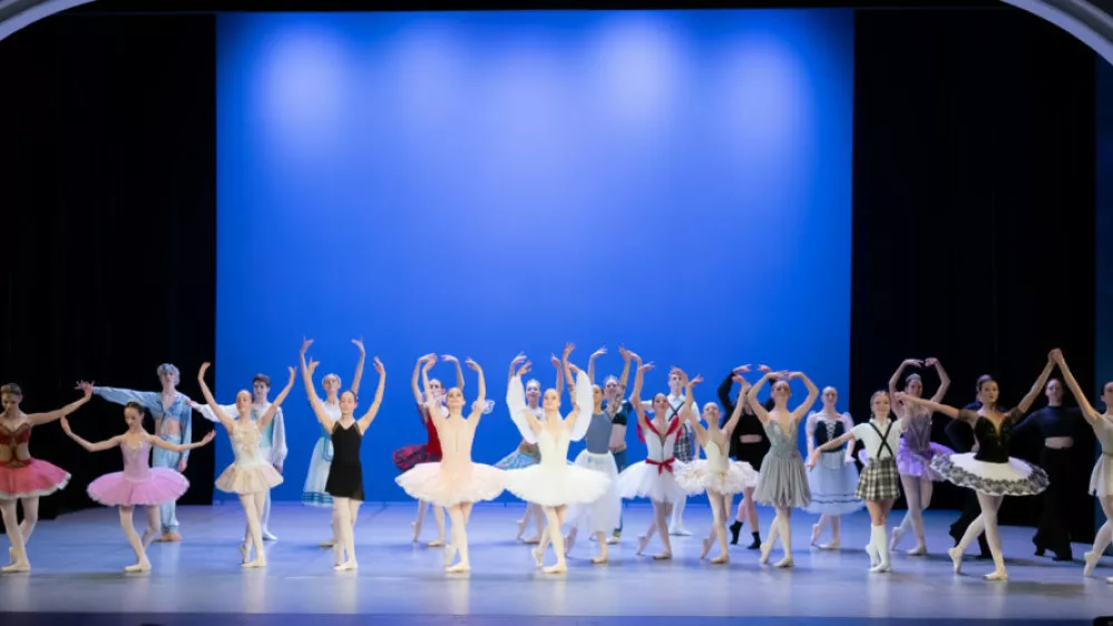 Potrditev truda in talenta