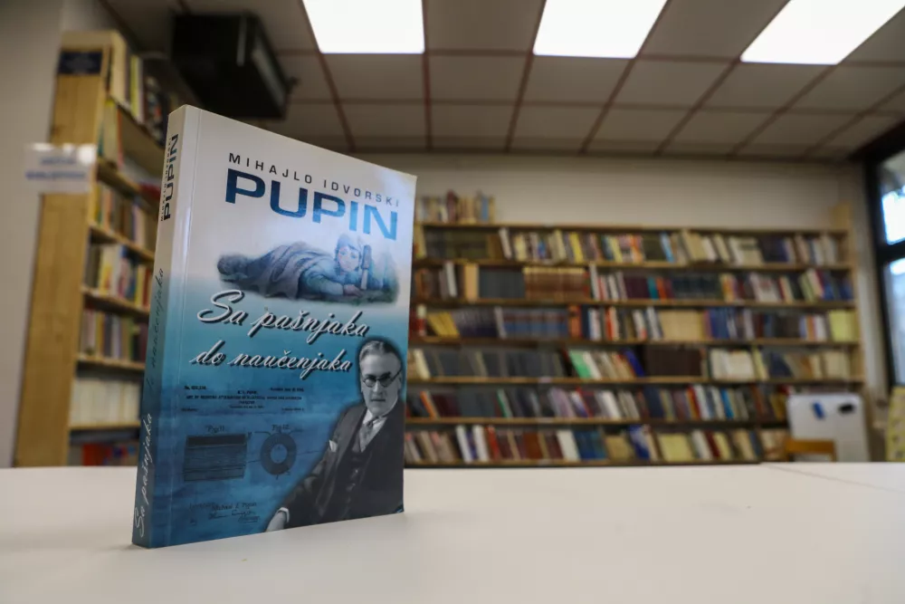 Največja srbska knjižnica zunaj Srbije: Knjige in &scaron;port z roko v roki